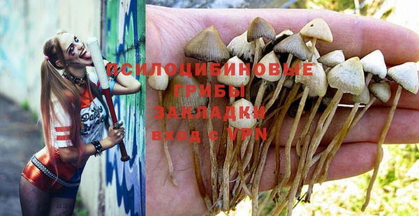 бошки Вяземский