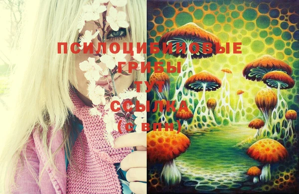 дживик Усмань