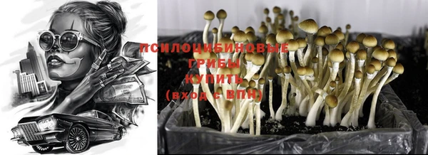 индика Усолье-Сибирское