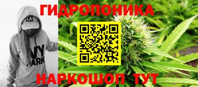 apvp Канаш
