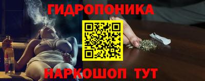 apvp Канаш