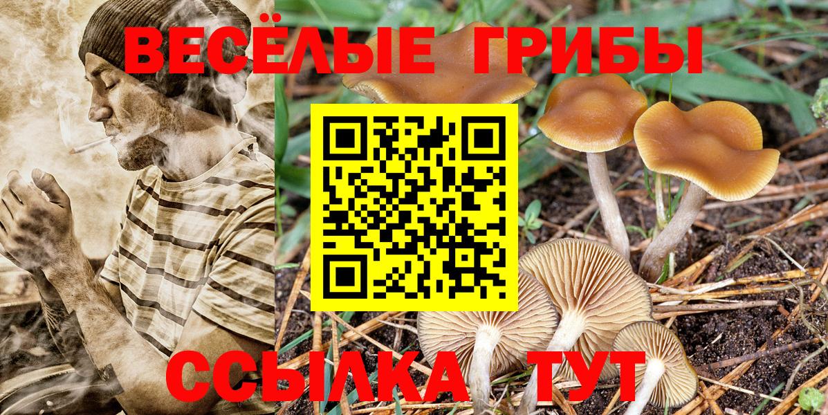 Мценск  Галлюциногенные грибы Magic Shrooms  Вход с VPN 